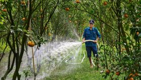 Immerse in Vietnam’s natural heritage with visa-smart planning